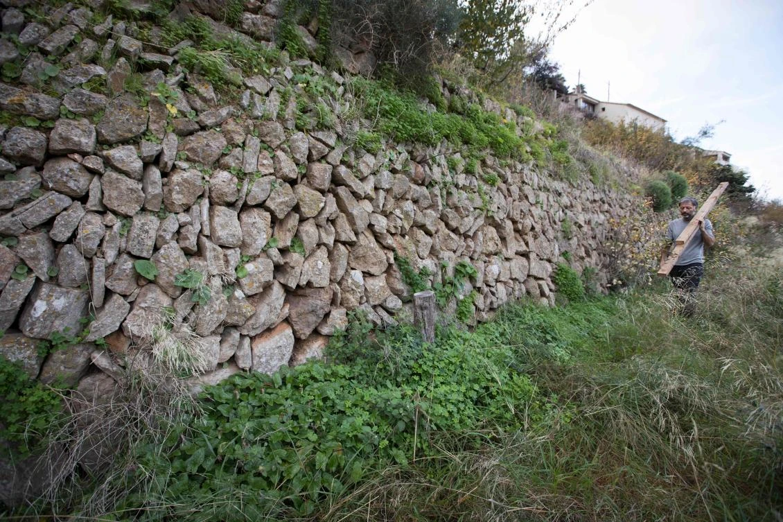 A man walks past a wall built using the dry stone technique in Banyalbufar on the Spanish Balearic Island of Mallorca on December 11, 2018. The art of dry stone walling, inscribed in 2018 on the Representative List of the Intangible Cultural Heritage of Humanity, (sometimes called drystack) is a building method by which structures are constructed from stones without any mortar to bind them together. Dry stone structures are stable because of their unique construction method, which is characterized by the presence of a load-bearing facade of carefully selected interlocking stones. / AFP / JAIME REINA