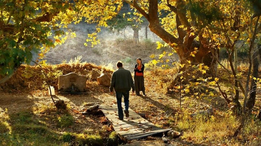 "The Wild Pear Tree" centers on Sinan (Aydin Dogu Demirkol), a literature graduate who returns from university to his parents’ rural town. (Supplied)
