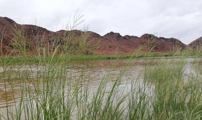 Picnickers and desert travelers have been warned to stay away from valleys during heavy rain. (SPA)
