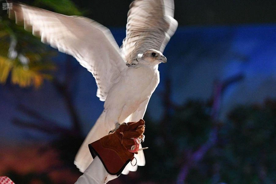 A birdlover’s dream: the Gulf’s biggest falconry exhibition kicks off in the Saudi capital
