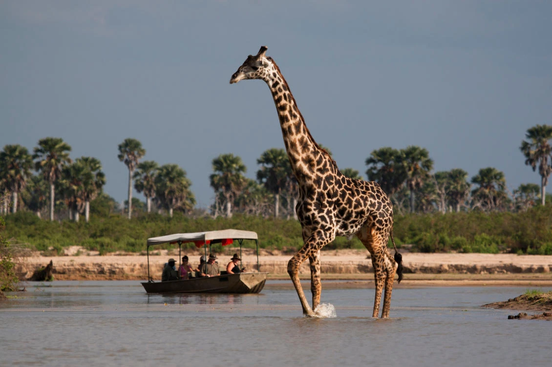 Egyptian firms to build $3bn power plant on Tanzanian world heritage site
