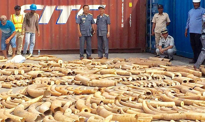 Cambodia seizes record 3-ton haul of African ivory