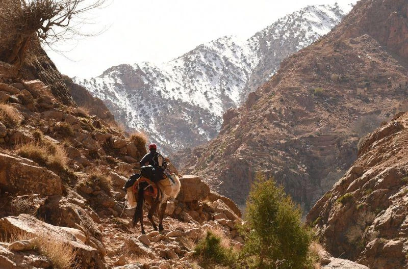 Bodies of 2 Scandinavian women found in Morocco’s High Atlas mountains