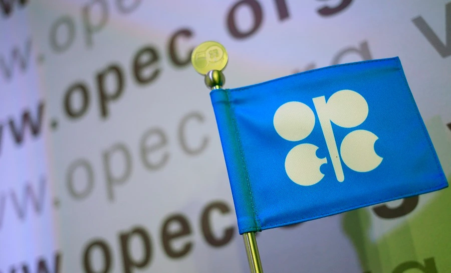 Sources had initially said OPEC would not publish individual quotas. (File/AFP)