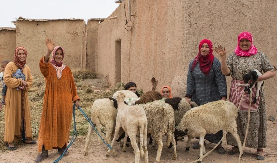 The project in Morocco aims to increase the income and employability of communities. (Photo by WOCAN)