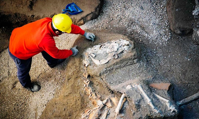 Harnessed horse unearthed in ancient stable near Pompeii