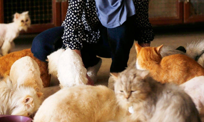 Animal welfare groups praised the government measure as an important step forward. (REUTERS)
