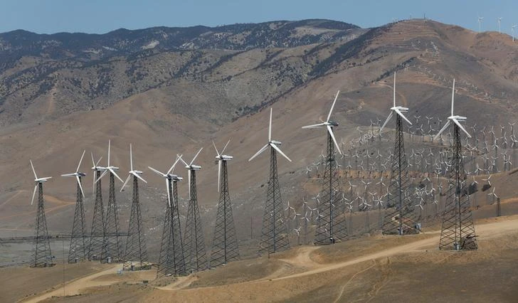 A wind farm, part of the Tehachapi Pass Wind Farm, is pictured in Tehachapi, California June 19, 2013. (Reuters)
