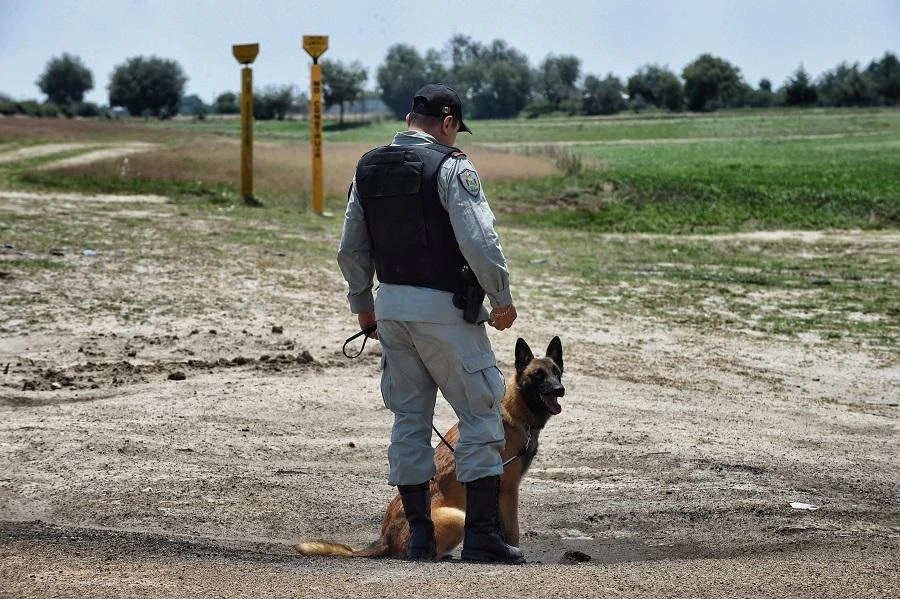 Security forces would receive additional training for the task. (File/AFP)