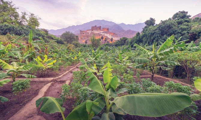 Thi Ain Heritage Village. (Photo/Saudi Tourism)