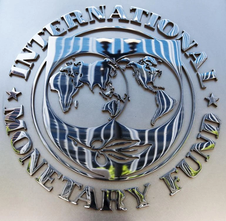 In this file photo taken on June 14, 2013, the seal of the International Monetary Fund (IMF) is seen at IMF headquaraters in Washington, DC. (AFP)