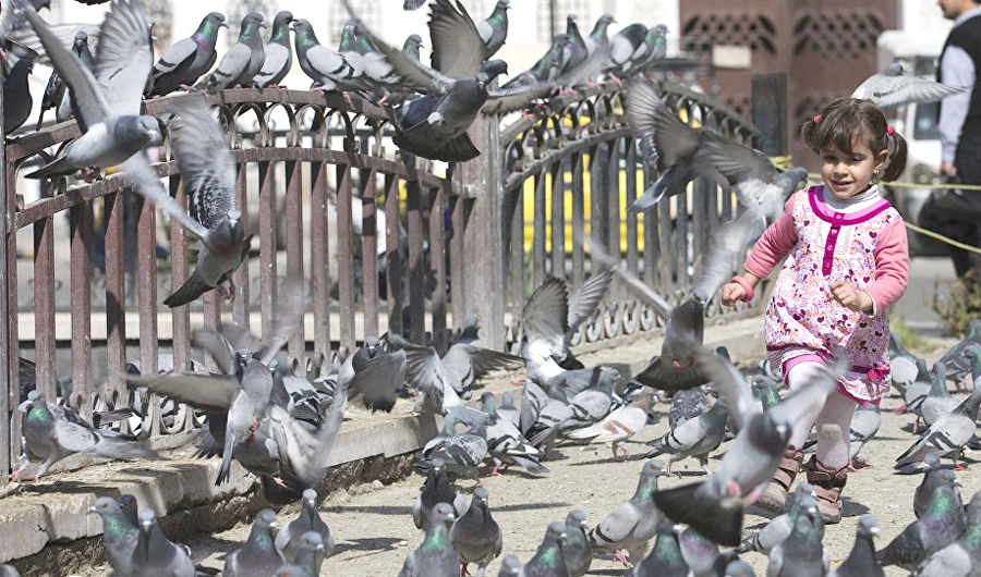 A Syrian girl plays with pigeons, as life has started to return to normal in the Syrian capital Damascus and other major cities across Syria. (AP)