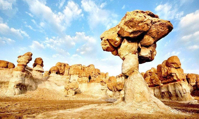 General Authority for Culture organizes cultural activities in Al-Ahsa