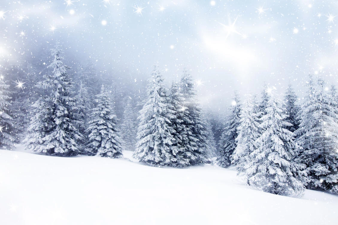 Winter Wonderlands in the Middle East. (Shutterstock)