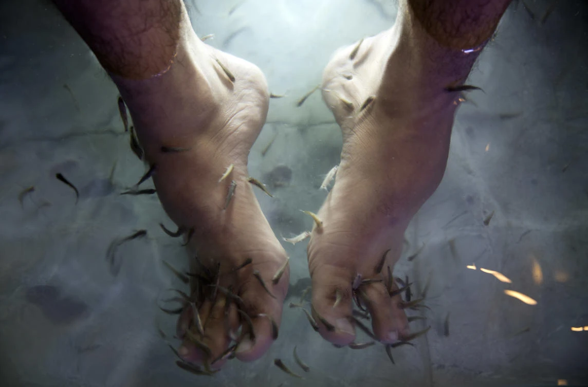A man soaks his feet in tank stocked with fish at a hookah bar and cafe in Gaza City. (AP/Khalil Hamra)