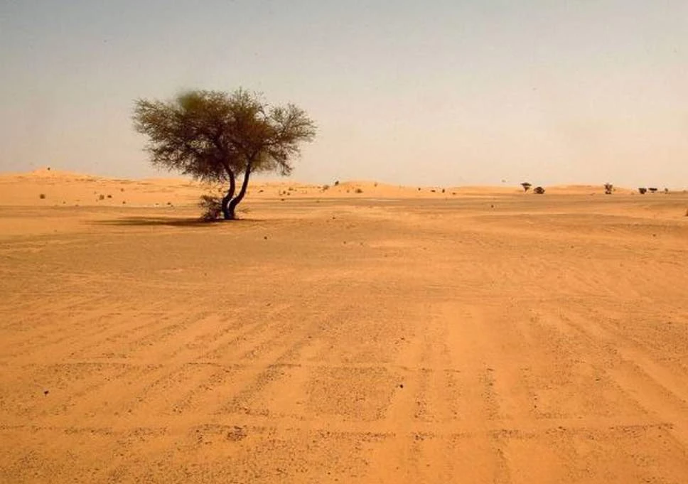 Landscape view dated May 2003 shows the Saharan desert in southern Algeria. 9File photo: AFP)