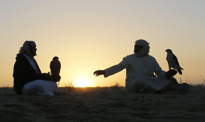 Emirati men sit with their falcons during a falconry competition, part of the 2014 International Festival of Falconry in Hameem, 150km west of Abu Dhabi, on December 9, 2014. (AFP)