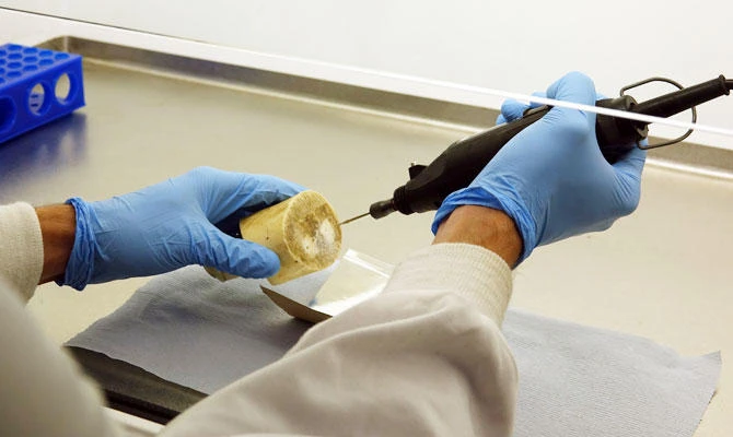 In this hand-out photo released by the Royal Zoological Society of Scotland (RZSS), received in London on January 4, 2019, a scientist drills an ivory sample in the WildGenes laboratory based at Edinburgh Zoo in Scotland on November 7, 2017. (AFP)