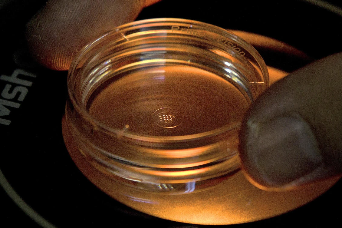 He Jiankui sparked an international scientific and ethical row when used a technology known as CRISPR-Cas9 to alter the embryonic genes of twin girls born in November. (AP)