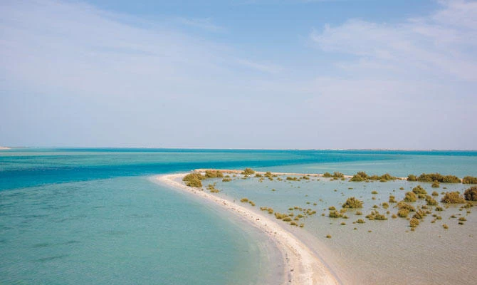 A group of 84 islands in the Red Sea lying 40 km Off the southern coast of Saudi Arabia, the Farasan Islands Reserve is especially rich in seabird life. (Supplied)