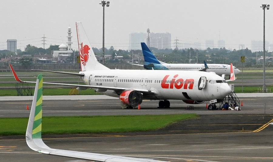 The 2-month-old Boeing 737 MAX 8 jet plunged into the Java Sea just minutes after taking off from Jakarta on Oct. 29. (File/AFP)
