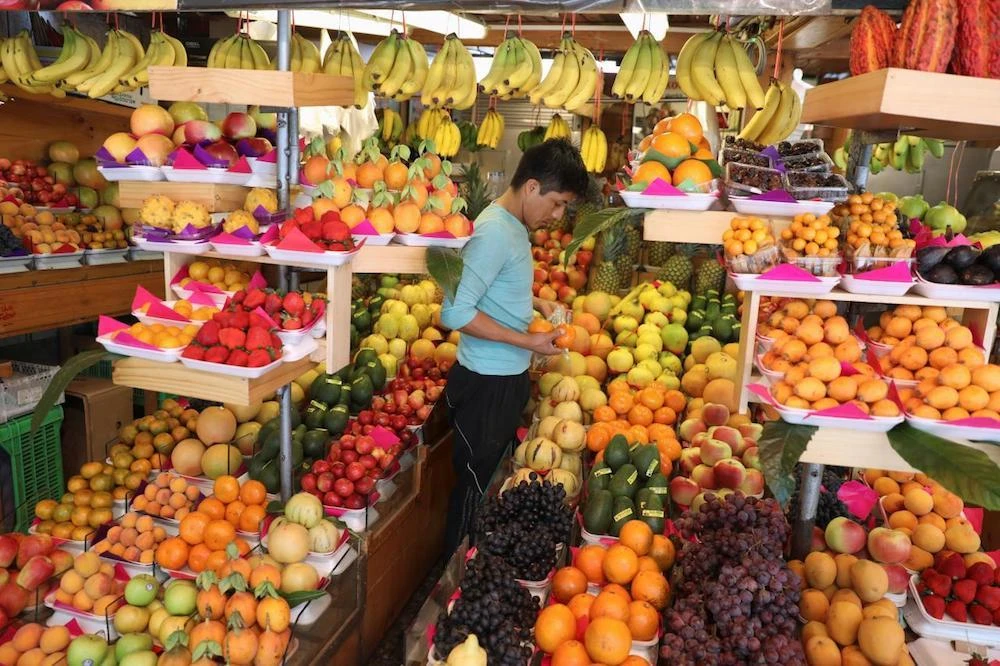 Scientists reveal “ideal diet” for peoples’ and planet’s health