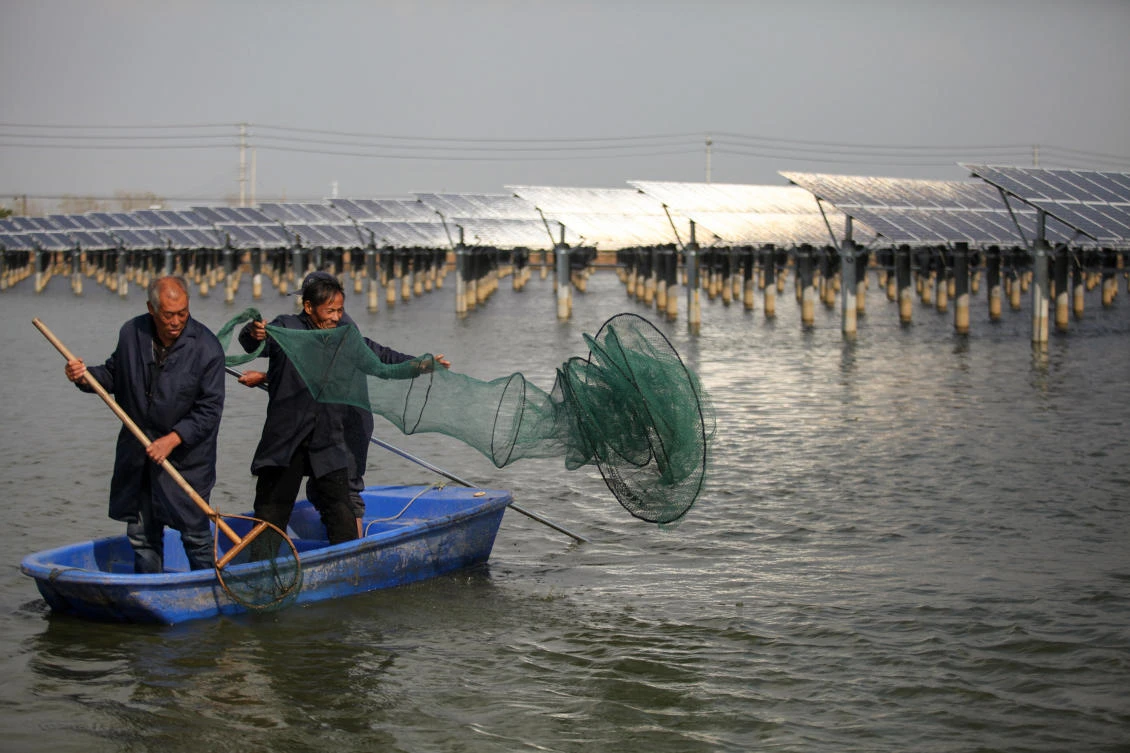 China has moved to curb new solar capacity. Above, Chinese fishermen casting a net next to a photovoltaic power station built on top of fish ponds in Yangzhou, in China’s eastern Jiangsu province. (AFP)