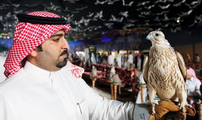 A visitor holds a falcon at the first Saudi Falcons and Hunting Exhibition in Riyadh, Saudi Arabia, December 5, 2018. (REUTERS)