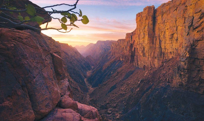 Photo/Saudi Tourism