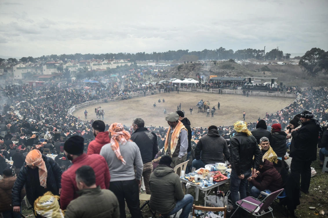 Into the arena for camel wrestling in Turkey