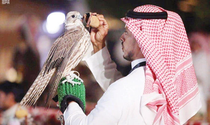 Falconry in the Arab world uses different techniques than in Europe, but some details, such as traditional training equipment, are the same. (Photo/SPA)
