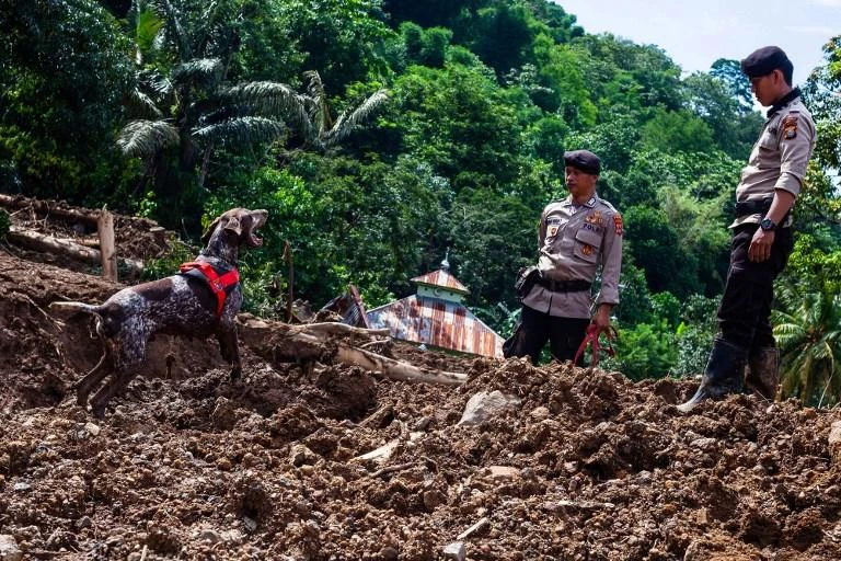 Rescuers use a sniffer dog to search for survivors after a landslide hit Gowa in South Sulawesi. (AFP)
