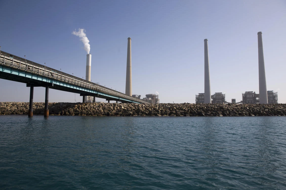 Sharks drawn to warm waters by Israeli coastal power plant
