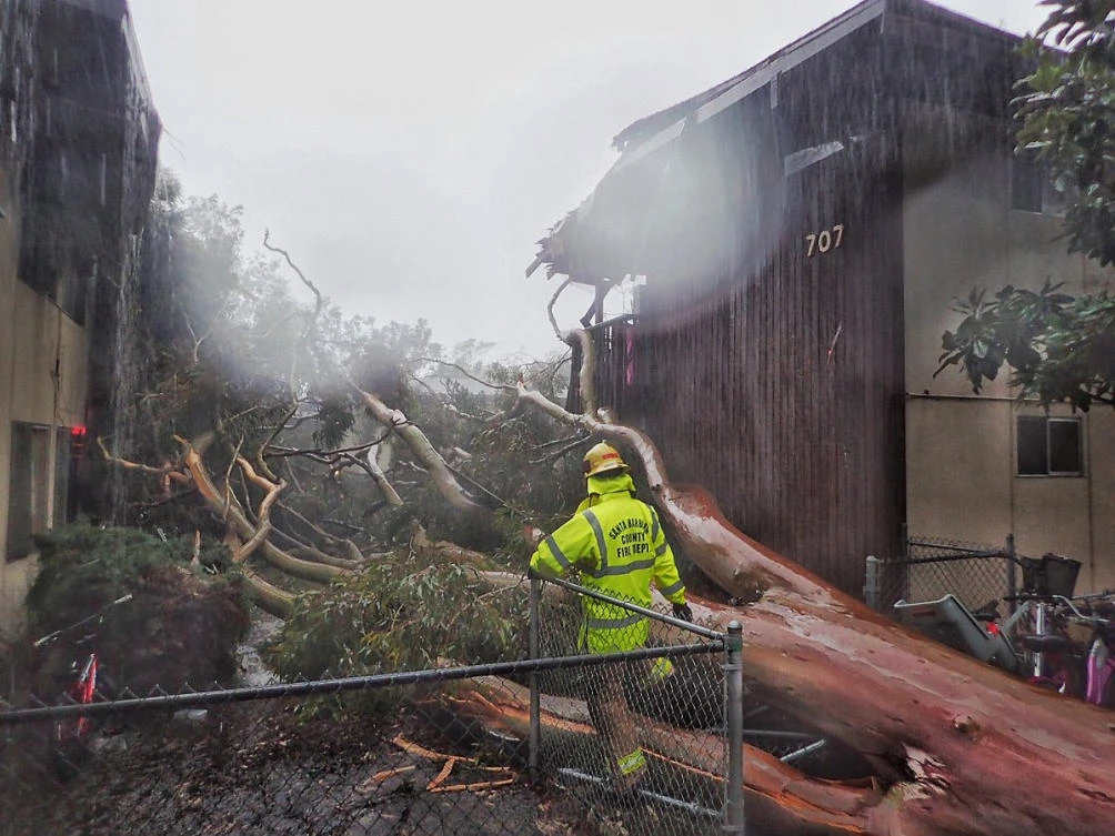 Firefighters survey the scene of a large eucalyptus tree that fell into a two-story apartment complex on Bolton Walk in Goleta, California on Feb. 2, 2019 as a result of the latest storm. (Mike Eliason/Santa Barbara County Fire via AP)