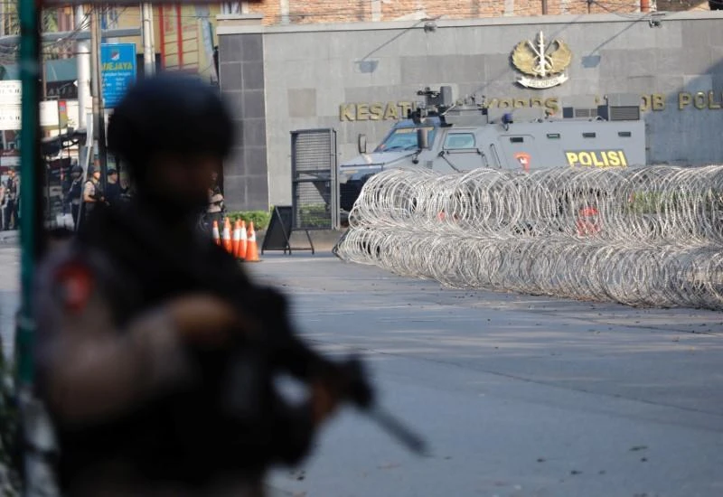 Indonesia police admit using snake to terrorize Papuan man