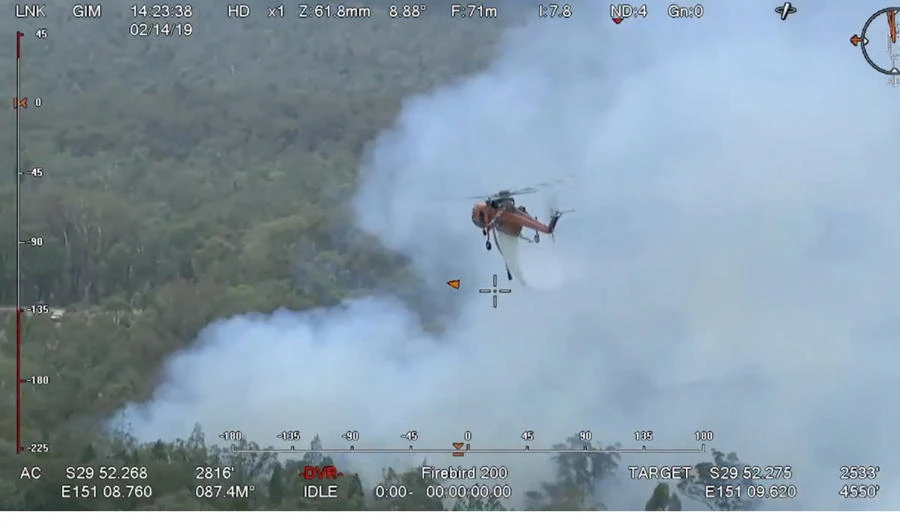 Tasmania fires may ‘wipe out’ ancient species