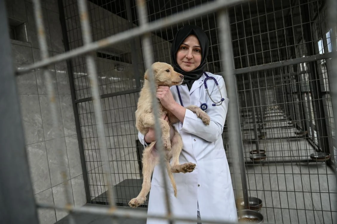 Tugce Demirlek, chief veterinarian of the Sultangazi Health Center poses with a stray dog on January 30, 2019 in Istanbul. (AFP)