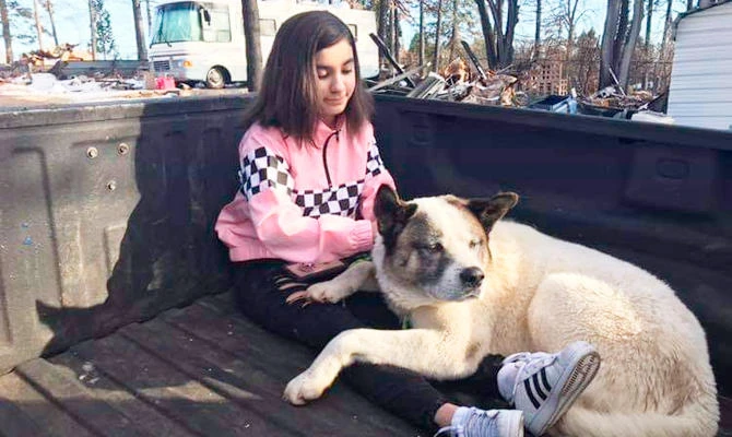 Dog reunited with family 101 days after California wildfire