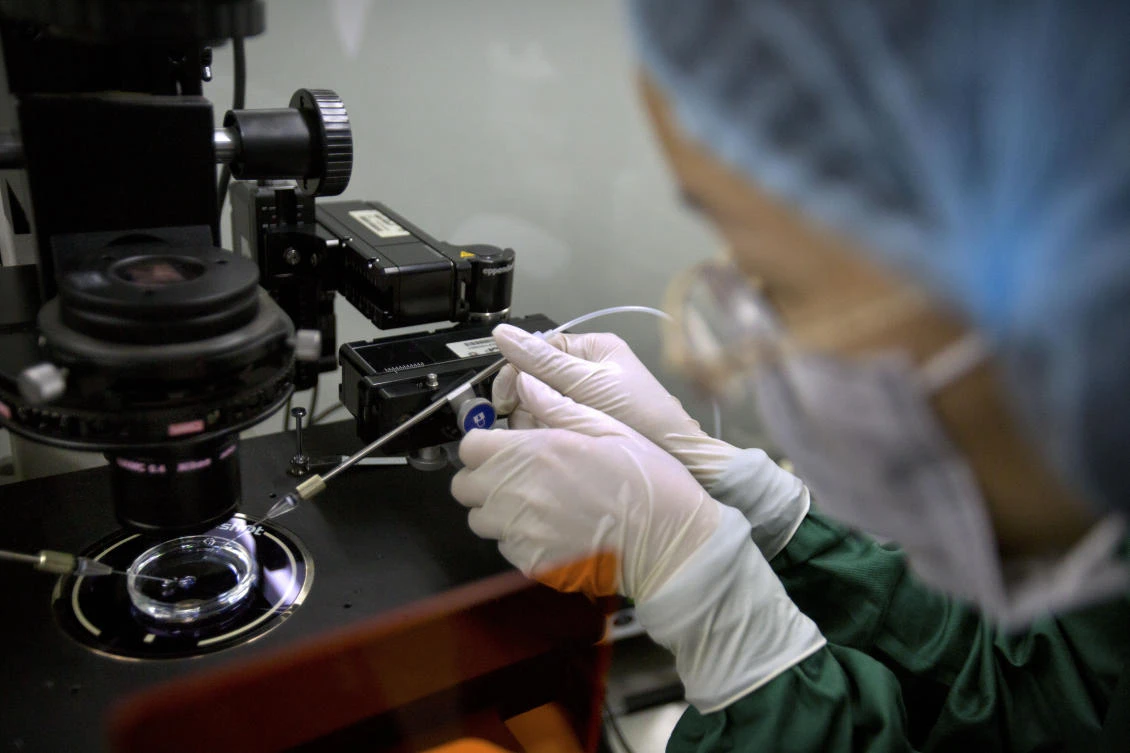 A brief regulation issued by the health ministry in 2003 prohibits gene-editing of human embryos, but does not stipulate any punishments for violators. (File/AP)