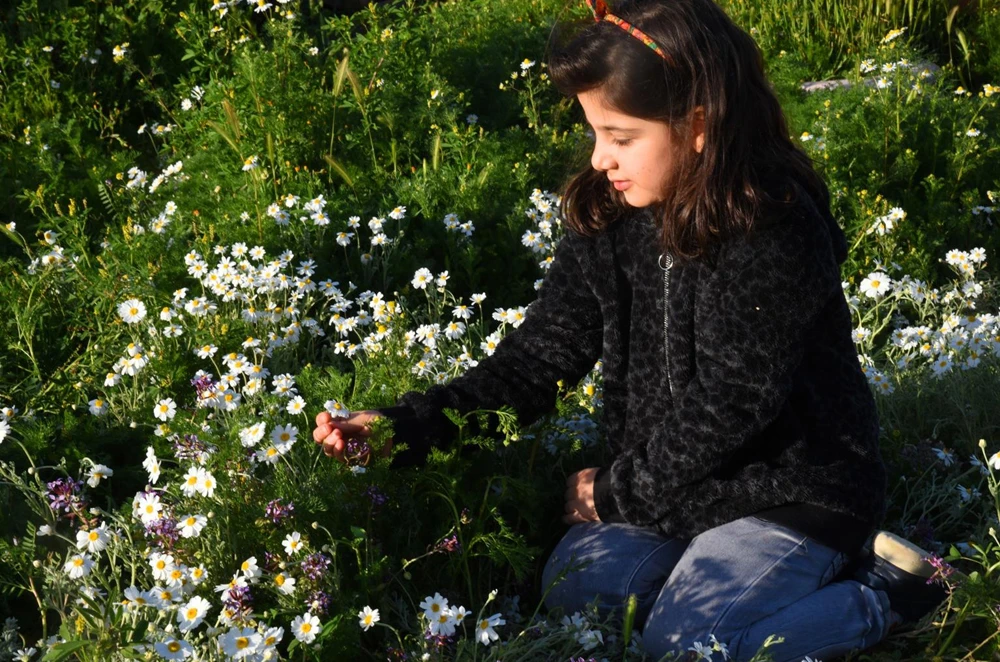 Spring Colors of Saudi Arabia's Al-Jouf