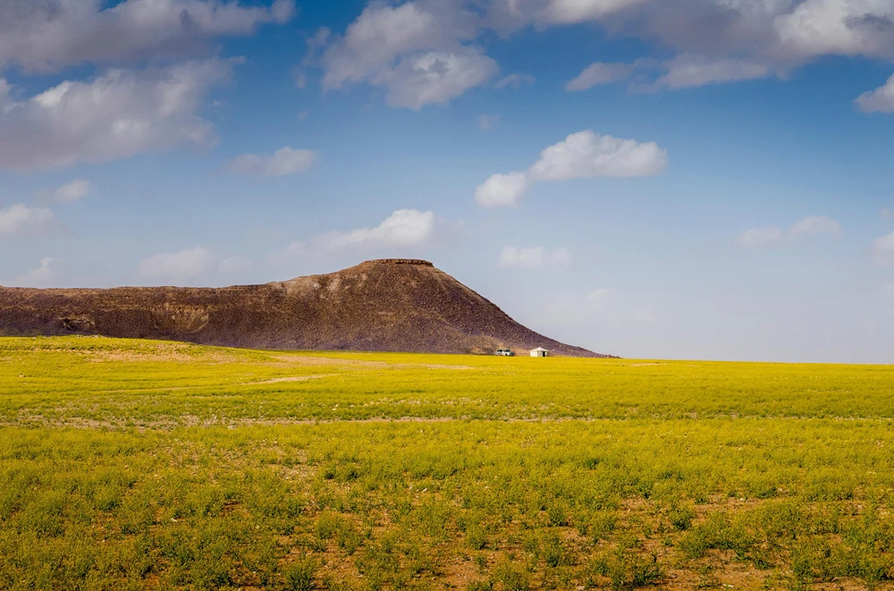 Spring Colors of Saudi Arabia's Al-Jouf