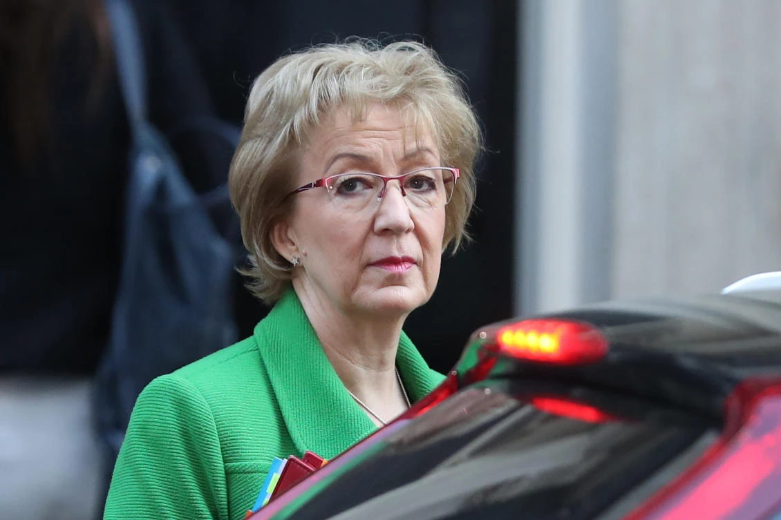Britain's Leader of the House of Commons Andrea Leadsom arrives for the weekly cabinet meeting at 10 Downing Street in London on February 26, 2019. (AFP)