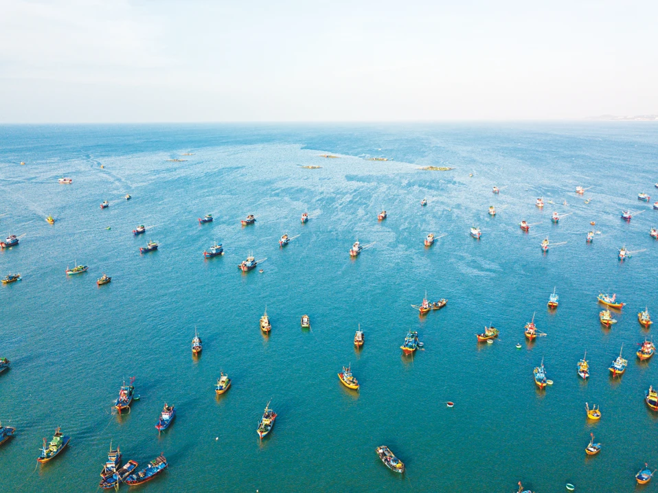 Overfishing is considered the greatest short-term threat to marine ecosystems because of the risk it poses to ocean biodiversity. (Shutterstock)