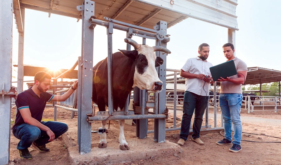 Meet two young Saudi entrepreneurs with sustainable solutions