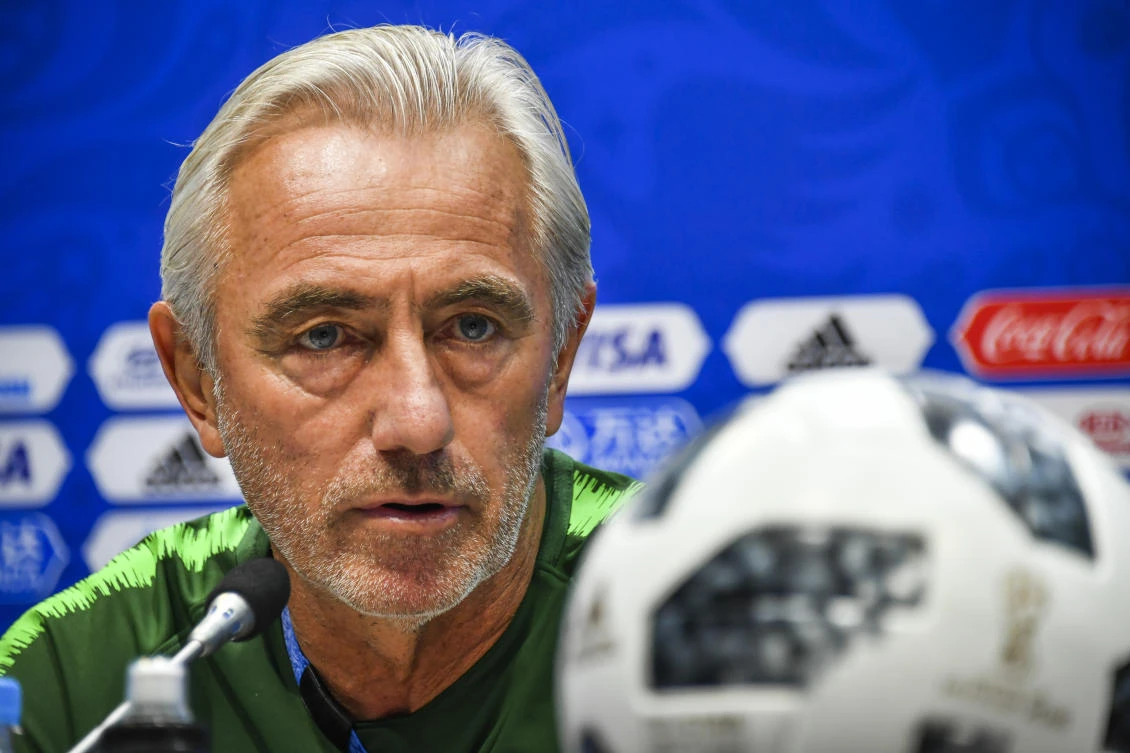 Bert van Marwijk confirmed as new UAE boss