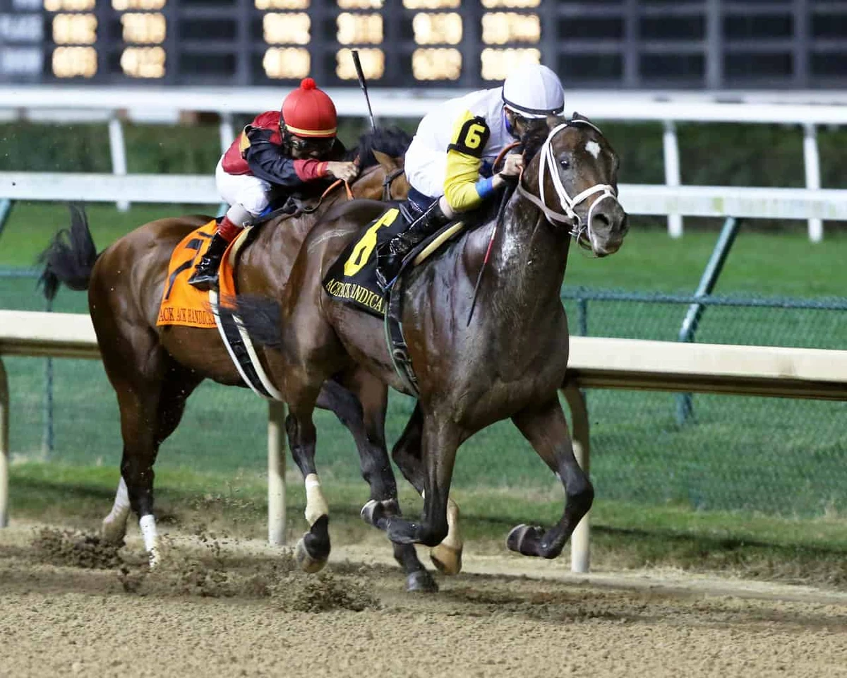 ‘Prize fighter’ Seeking the Soul backed to upset local favorite Thunder Snow in Dubai World Cup