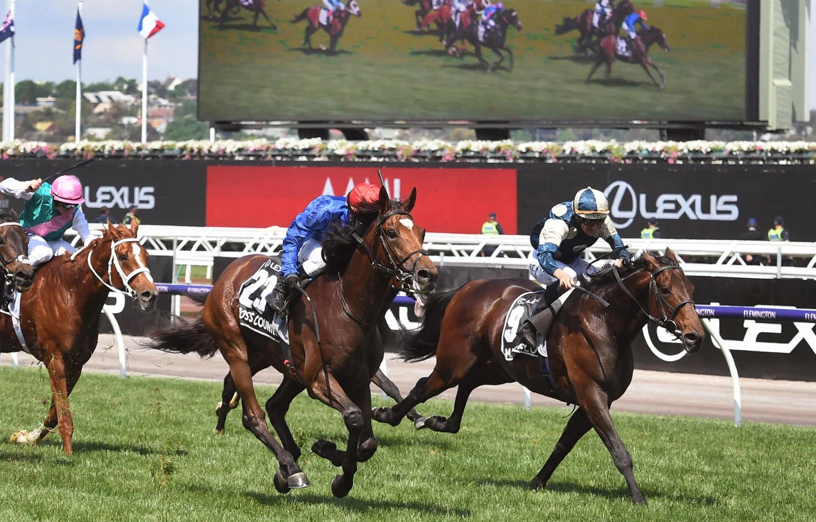 Cross Counter and Godolphin out to create Melbourne magic in Dubai Gold Cup
