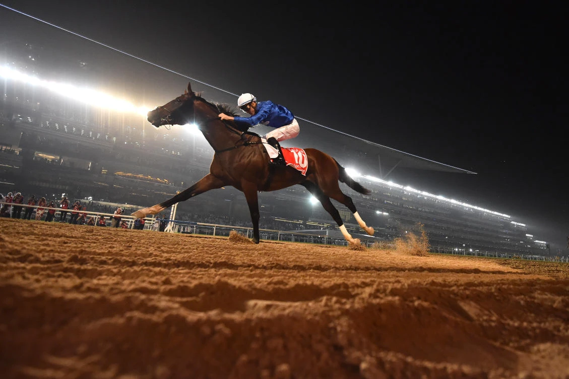 Thunder Snow ready for Dubai World Cup history bid