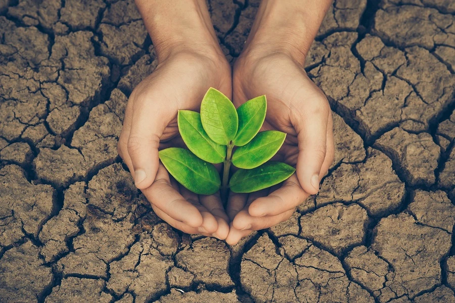 The Six: Ways to be eco-friendly