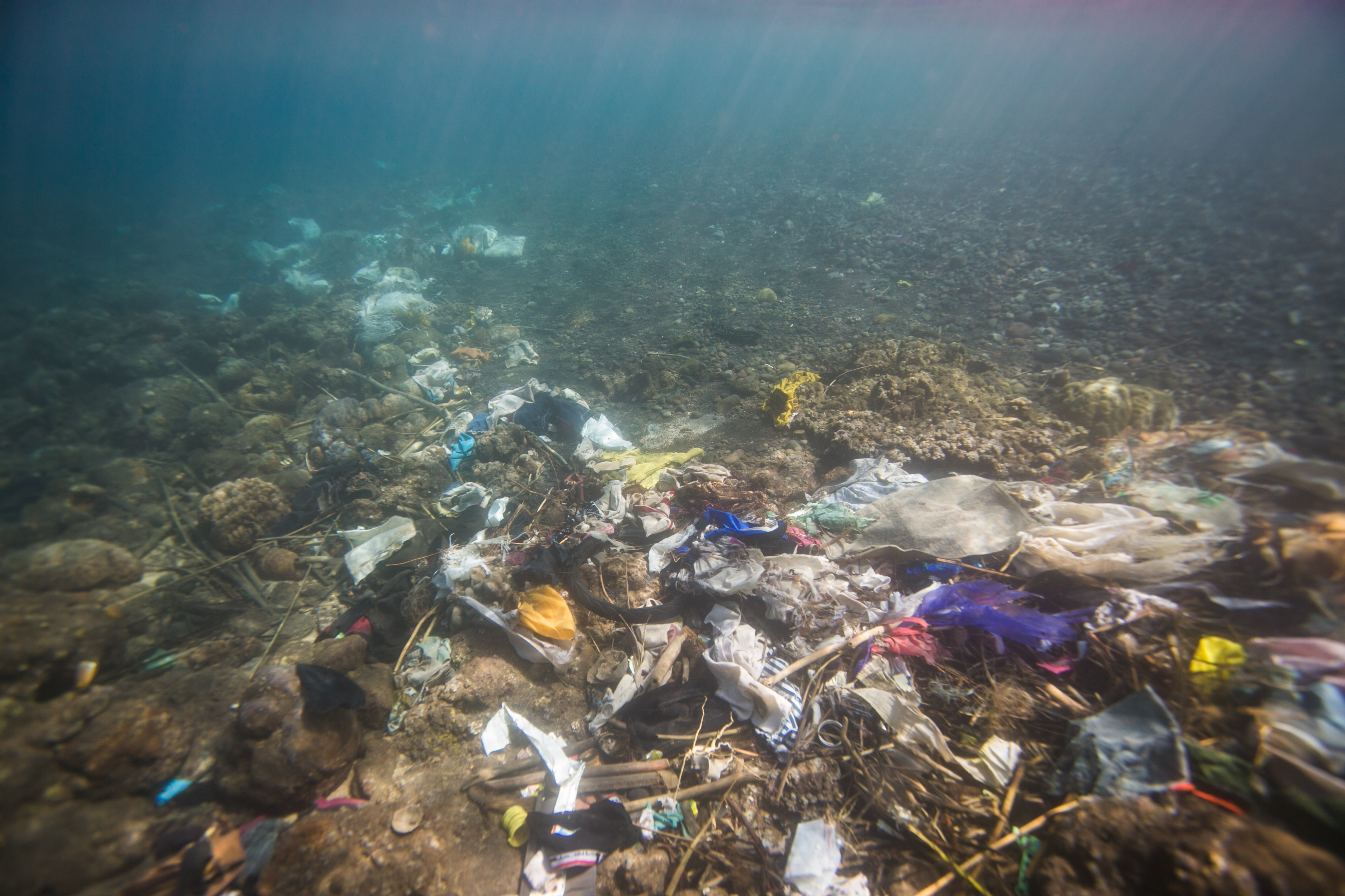 Don’t pollute the sea